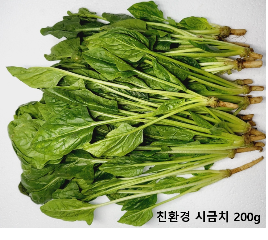 이미지2
